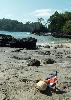 Skids having some fun buried in the sand at Manuel Antonio National Park in Costa Rica.