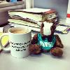 Skids tries his hoof at being a grad student.