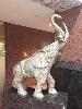 Arriving in Auckland, New Zealand at the Crowne Plaza, Skids was excited about riding on the elephant in the lobby. SFD '71 explained that generally it is not acceptable to climb on sculptures!
