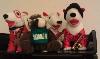 Skids ended his tour behind the scenes at the National Music Museum by joining in some music-making with a bunch of talented Target dogs he found guarding the Curator's office.