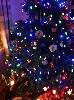 Skids looks very festive in our Christmas tree :-)