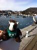 Why isn't anyone else enjoying the beach? It's warmed up to 14 degrees! (Camden, Maine)