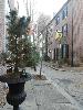 Skids thinks downtown Philly is quite charming :-)
