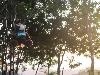 Hanging out