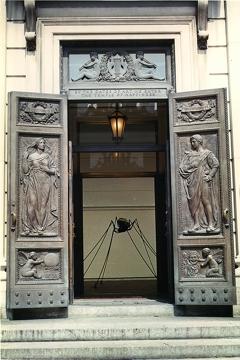 Adirondack%20Arachnid