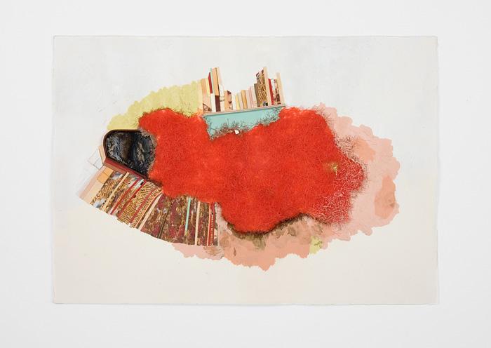 Cohoes%20%28Red%29%2C%202011