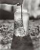 Cheryle St. Onge, Natural Findings, Archival Inkjet Print
