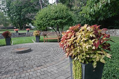 Alumni%20Memorial%20Garden--A%20view%20of%20the%20garden%20behind%20the%20Surrey-Williamson%20Inn.%20%28Eric%20Jenks%20%E2%80%9908%20photo%29
