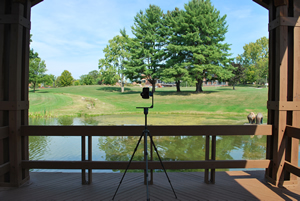 Skidmore College Pond in July