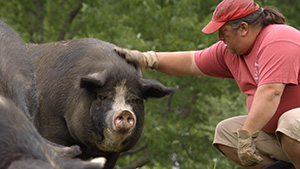 John Ubaldo, the Bullish Farmer, with one of his pigs