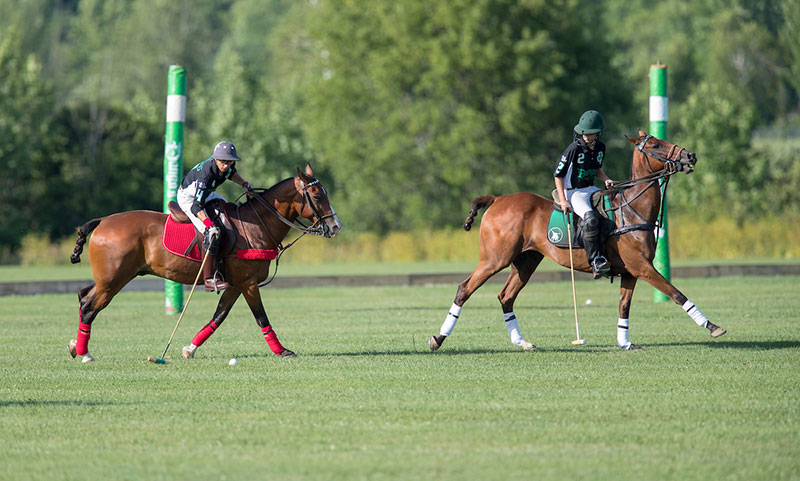 Polo Player Hitting Ball with another directly in front