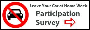 Participation survey