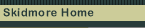 Link to Skidmore home page