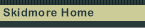 Link to Skidmore home page