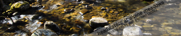 Headwaters at Alpine Meadows