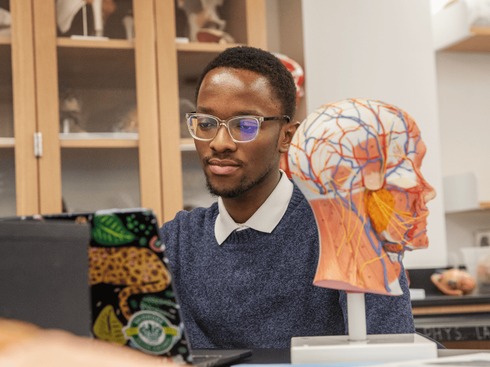 Skidmore College students look at models in Health and Human Physiological Sciences lab