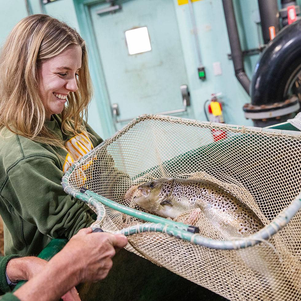 Emma Laquinta ’25, a biology major and coxswain of the men’s rowing team, looks at a trout during a visit to the USGS S.O. Conte Anadromous Fish Research Center with Skidmore College biology professor Jason Breves