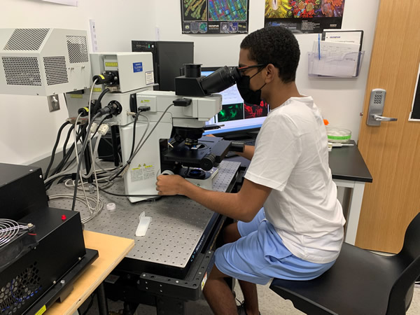 Student looking into microscope