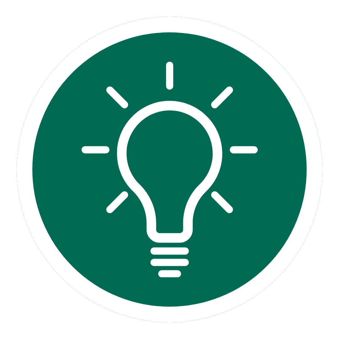 lighbtbulb icon