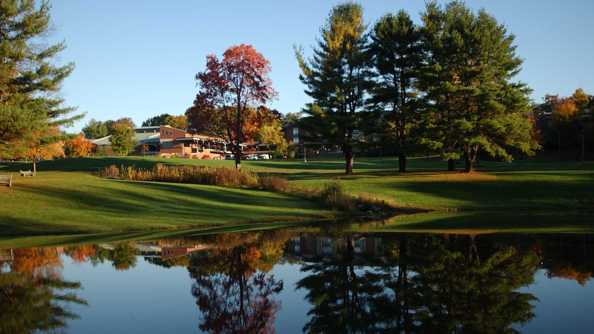 pond picture