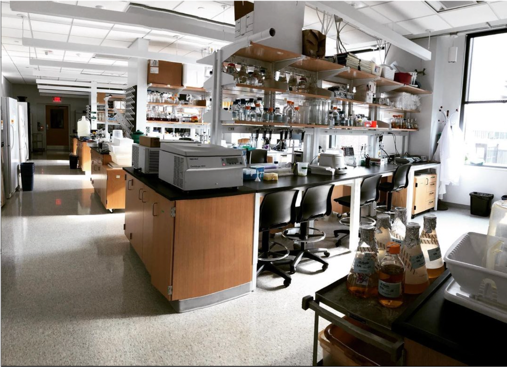 CIS Biomolecular Research Suite