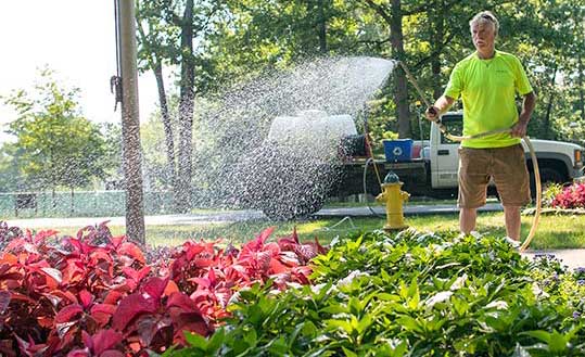 staff member watering plants