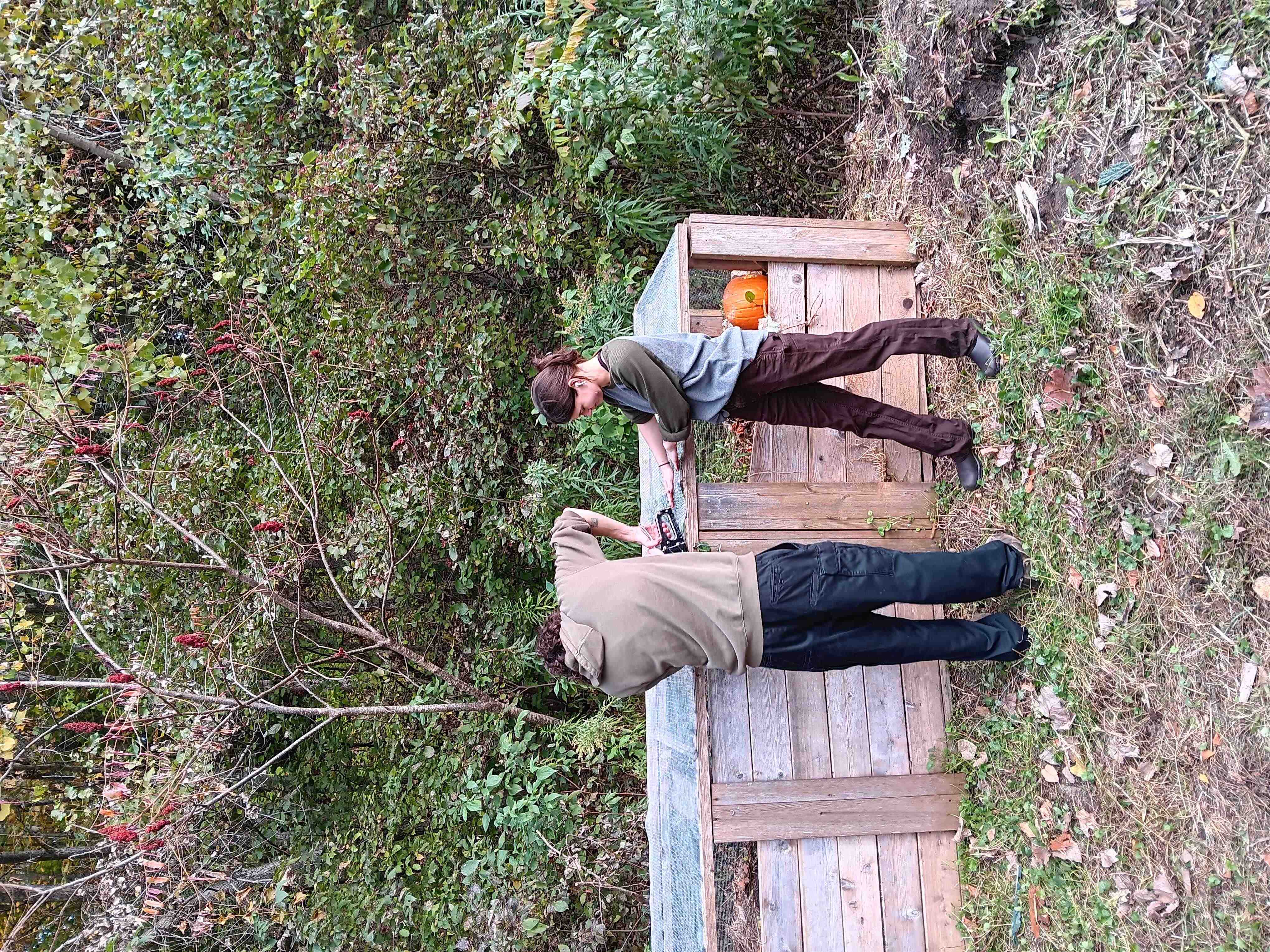 compost work