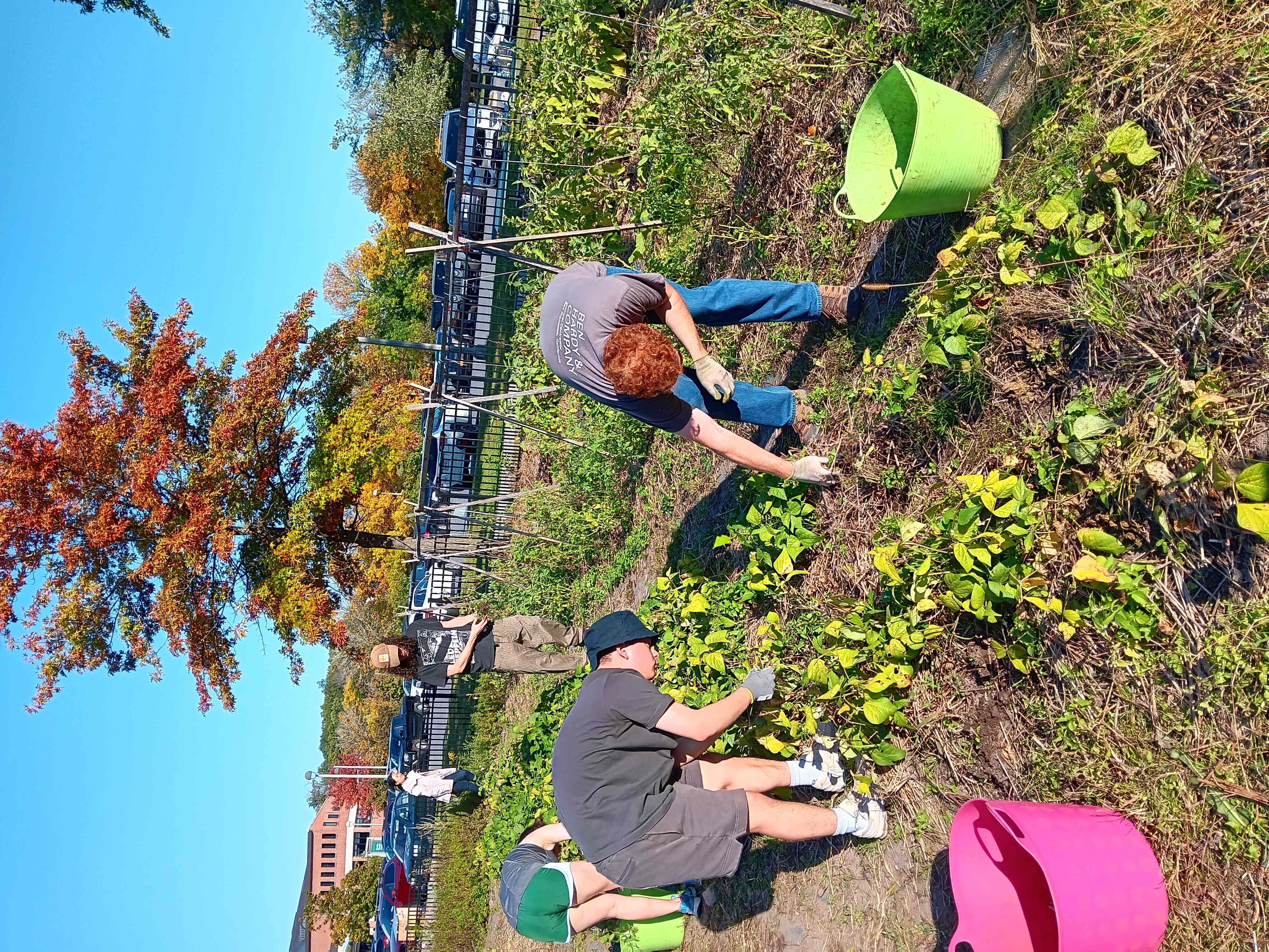 garden work
