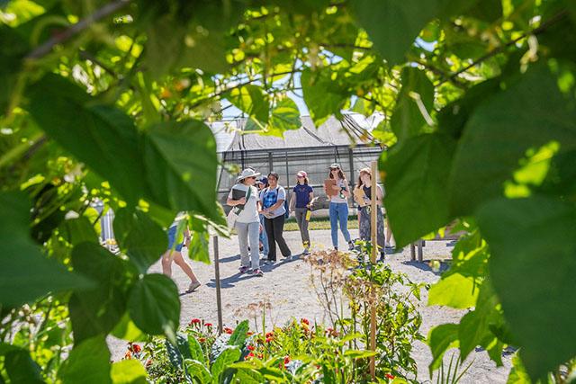 A professor and her students stand in front of a greenhouse, viewed through a leafy canopy