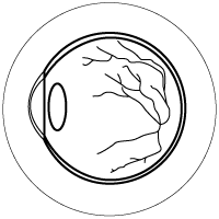 Cornea with light and without light