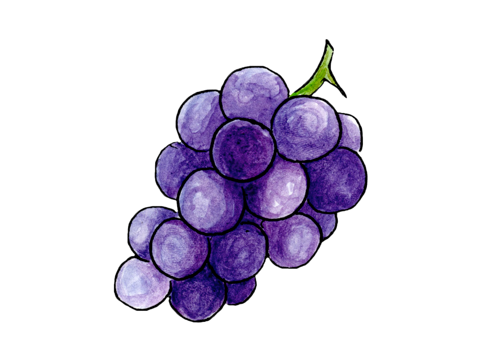 a bunch of grapes
