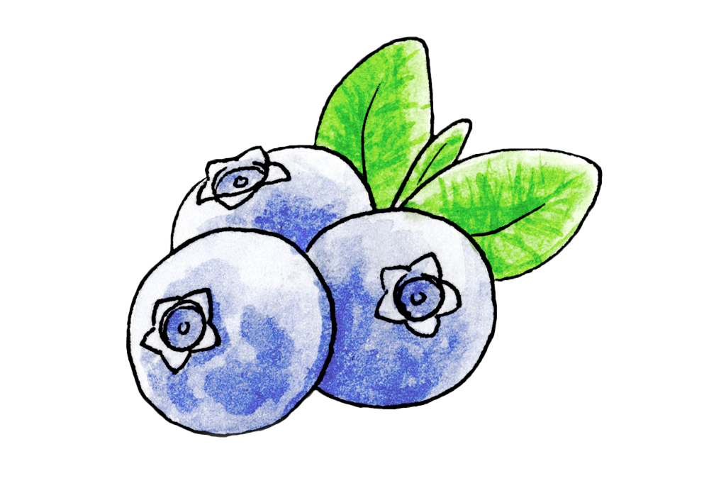 two blueberries