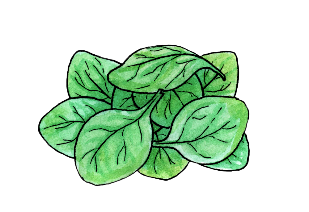 a bunch of spinach leaves