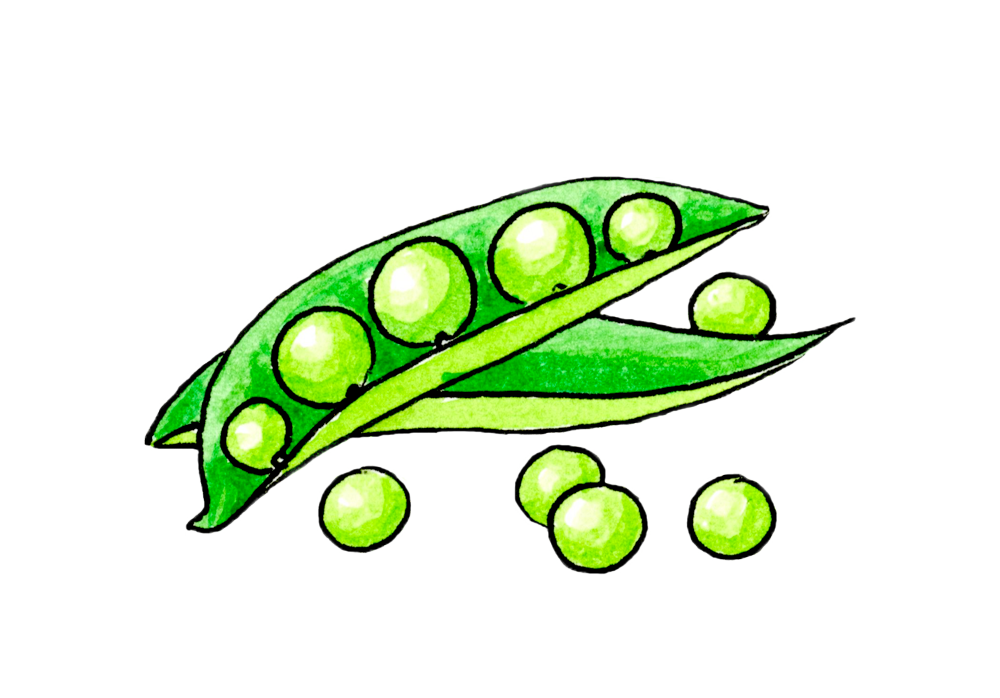 peas in a pod