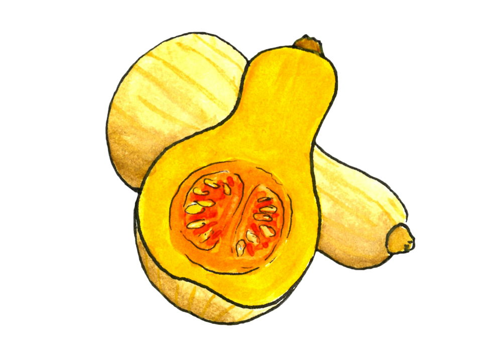 a halved butternut squash