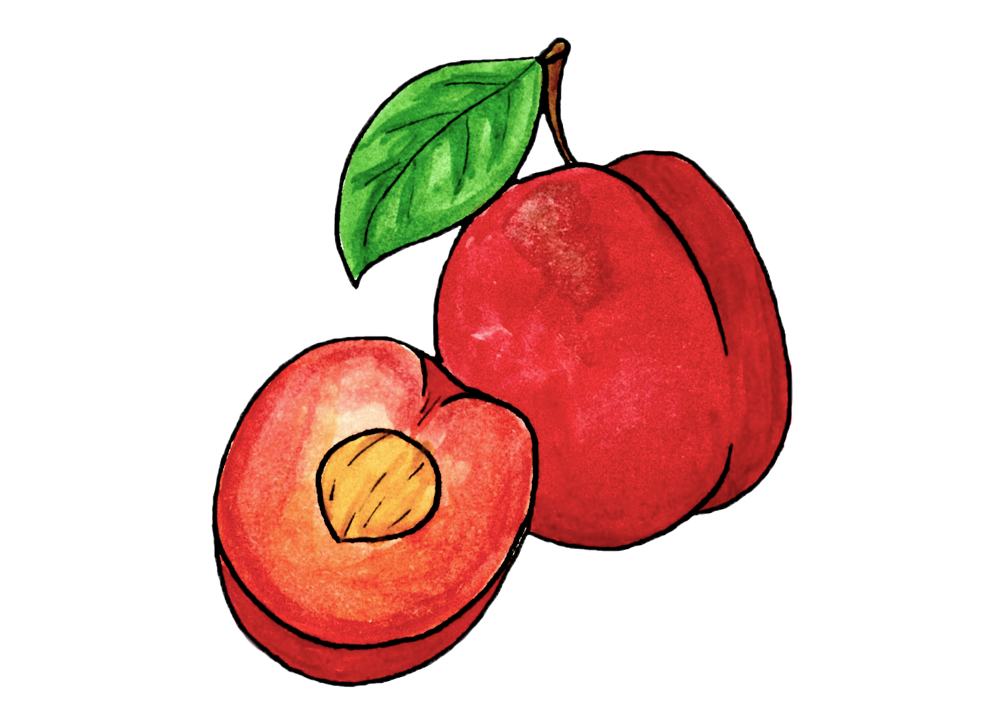 a plum