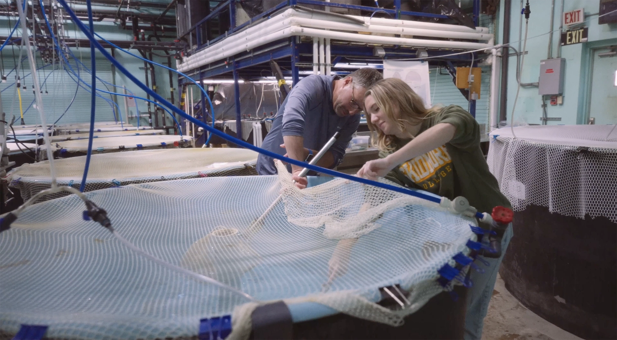 Skidmore student and faculty member working together to care for aquatic research tanks in a hands-on marine biology or environmental science lab.