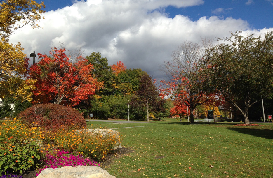 Skidmore College campus in the fall