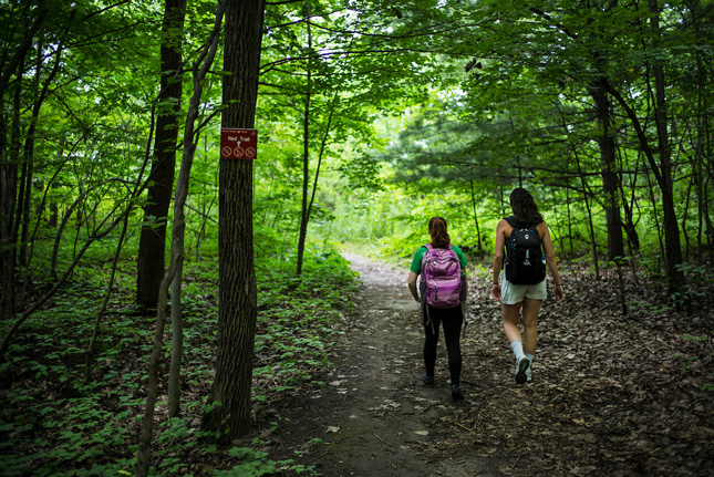 Skidmore North Woods trails