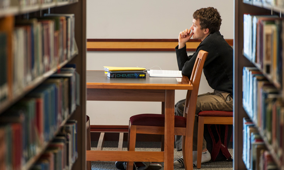 Male student studying in the library