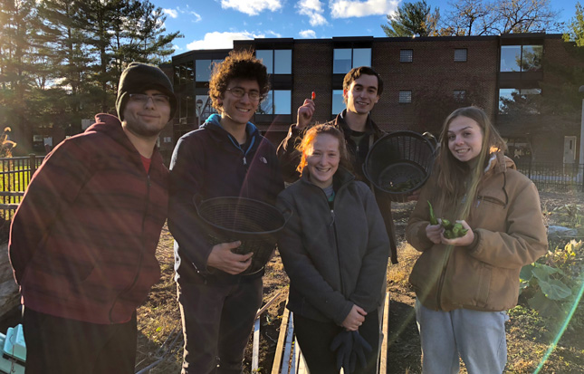 Students working in a community garden