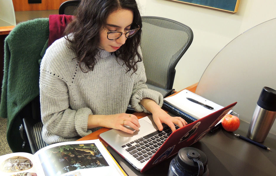 Jenny Lupoff '19 works at a desk in the Skidmore library