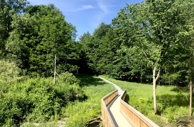 A boardwalk crosses over a marsh on the Spring Run Trail in Saratoga Springs