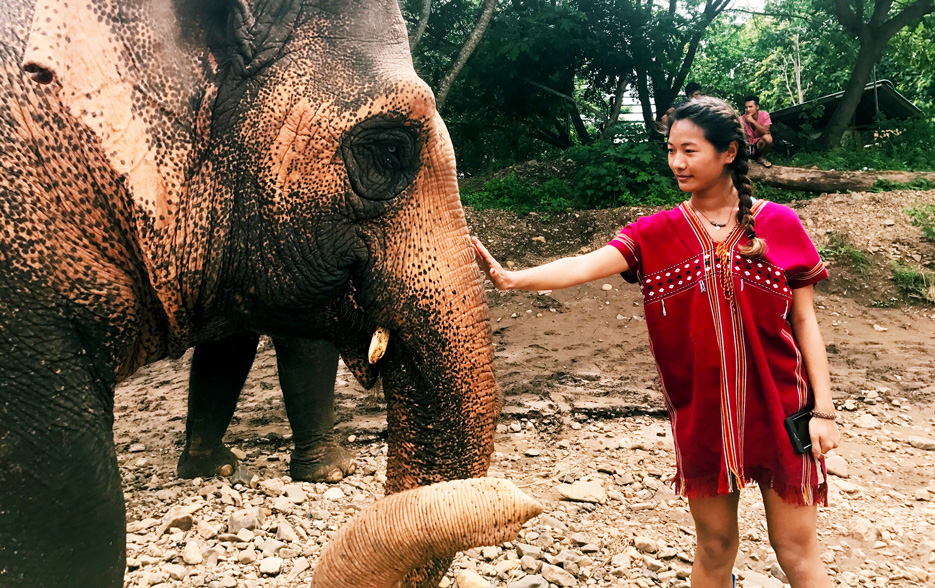 Woeser Dolma '18 visits an elephant sanctuary while studying abroad in Thailand 