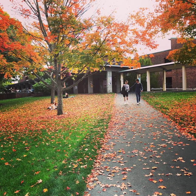 Skidmore campus in the fall