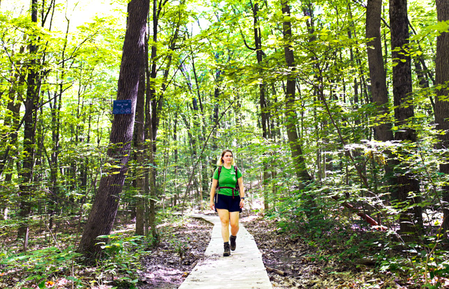 Hiking in skidmore's north woods