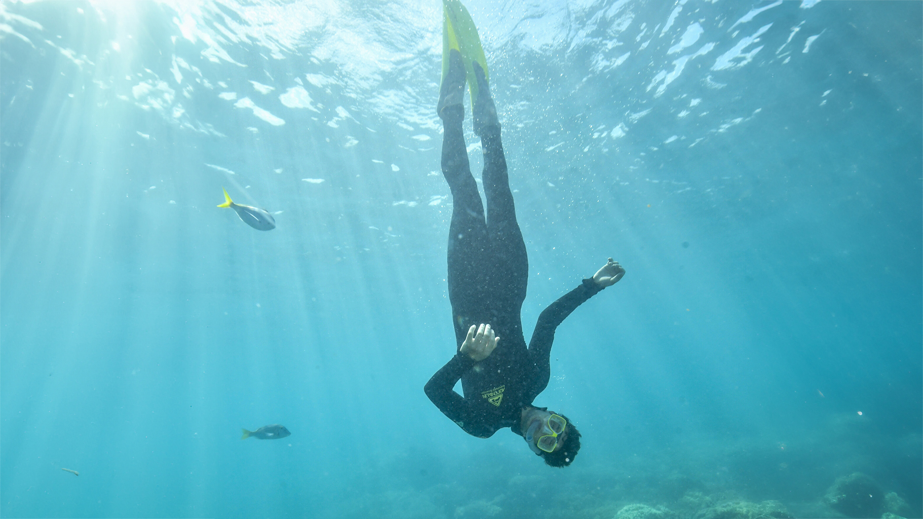 A photo of Wes Williamson ’25 snorkeling in the Great Barrier Reef