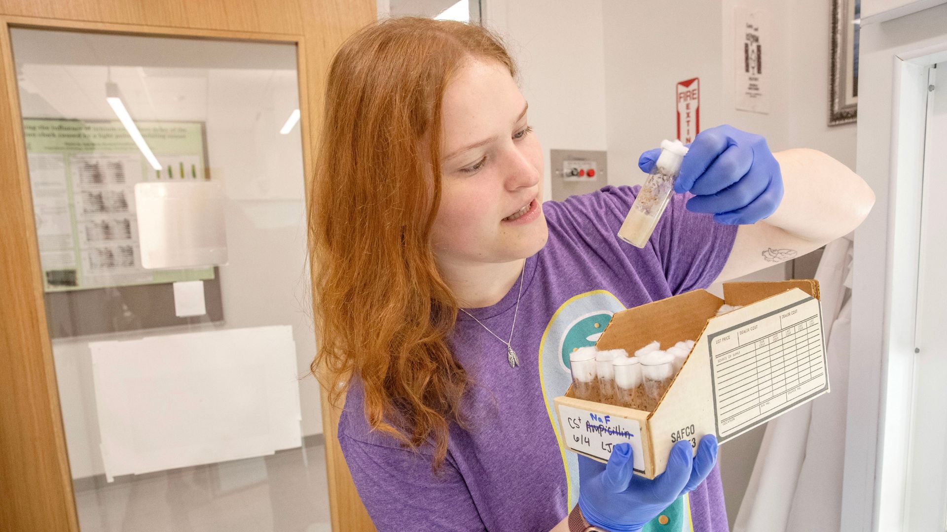 Jordan Diamond ’27, a neuroscience and biochemistry double major, conducts hands-on research in Professor Bernard Possidente’s lab, studying the effects of medications like topiramate and ampicillin on sleep patterns using fruit flies. Through Skidmore’s Faculty-Student Summer Research program, she’s connecting classroom learning to real-world science while preparing for a future in medicine and biomedical research.