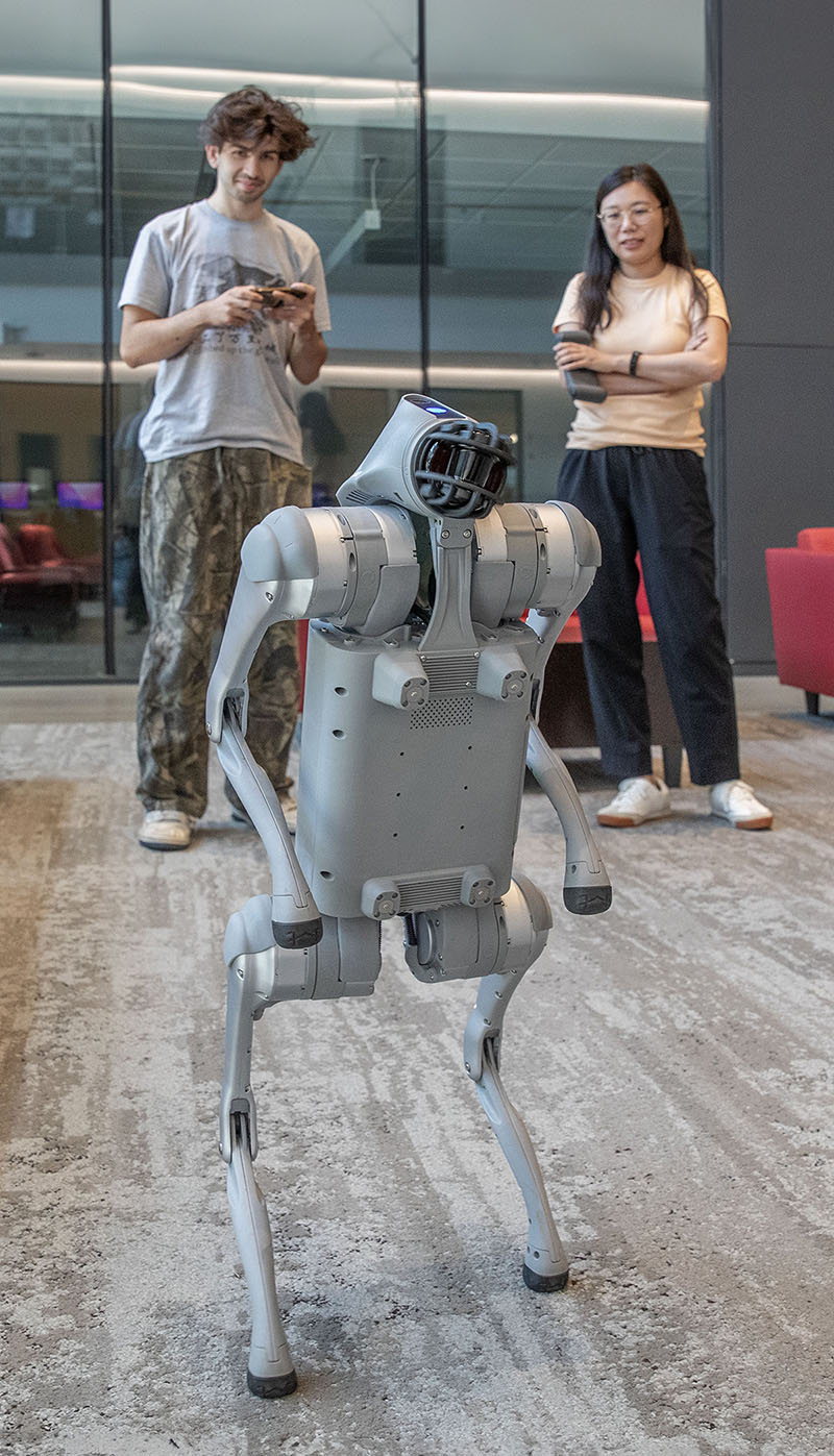 Hamza Mustafa ’27 and Assistant Professor of Computer Science Wenlu Du with the robotic dog they trained to walk over the summer.