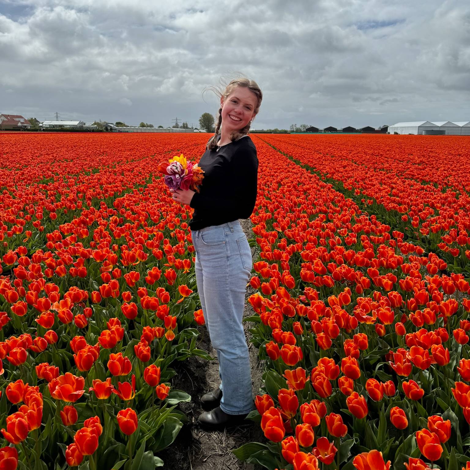 I+loved+exploring+the+Netherlands+and+especially+enjoyed+seeing+fields+of+beautiful+spring+tulips+this+spring.++++